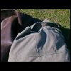 PICT0013.JPG