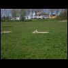 PICT0017.JPG