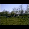 PICT0030.JPG